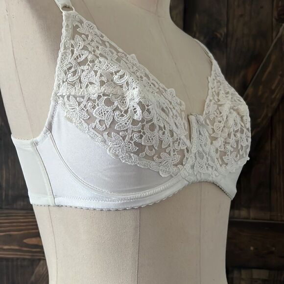 Wacoal Tapestry Embroidery Sheer Lace
Bra Sz-32D - Picture 6 of 14
